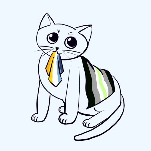 a cat with an aroace and agender flags